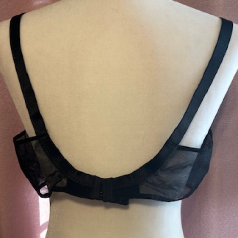 SECRETS IN LACE Coquette Sheer Bullet Bra - Picture 3 of 3